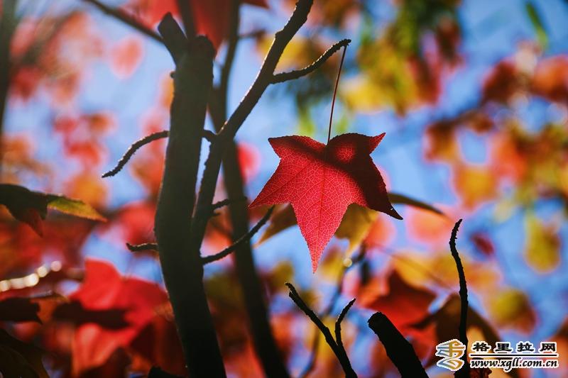 1242587_2048x2048 1242587_2048x2048