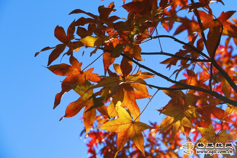 1242588_2048x2048 1242588_2048x2048