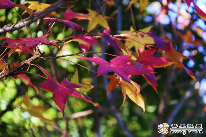 1242589_2048x2048 1242589_2048x2048