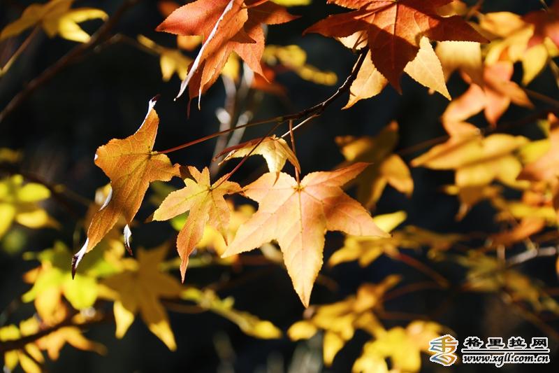 1242590_2048x2048 1242590_2048x2048