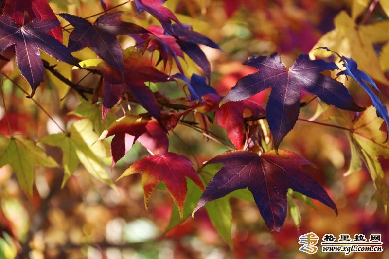 1242591_2048x2048 1242591_2048x2048