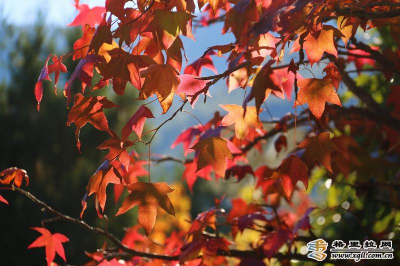 1242592_2048x2048 1242592_2048x2048