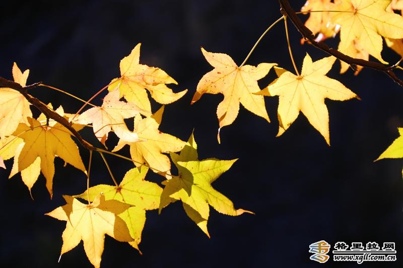 1242593_2048x2048 1242593_2048x2048