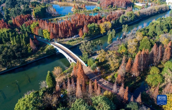 1310688596_16729658289781n