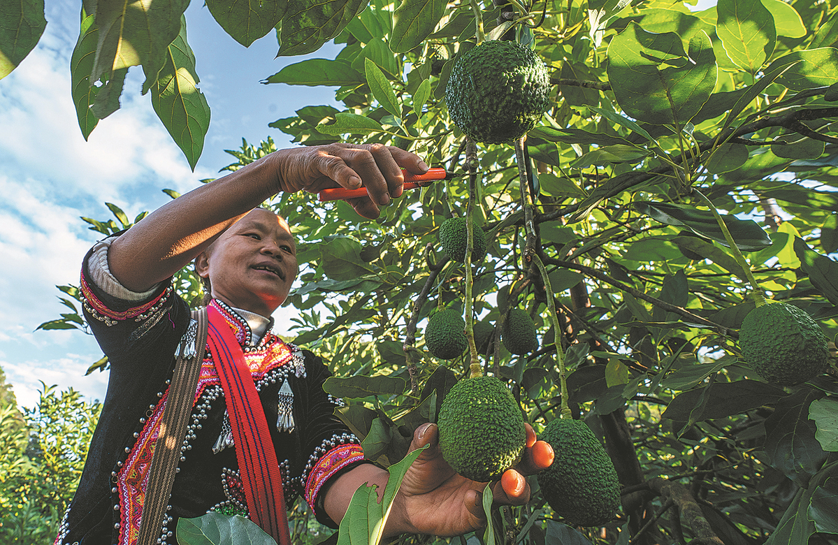 63e1a5baa31057c4b4b49b7d 63e1a5baa31057c4b4b49b7d