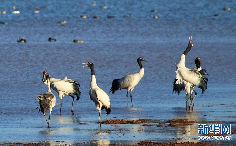 1310694638_16753423427161n