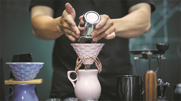 63f41147a31057c4b4b57781 63f41147a31057c4b4b57781