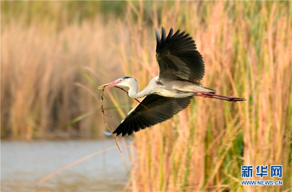 1326147_2048x2048 1326147_2048x2048