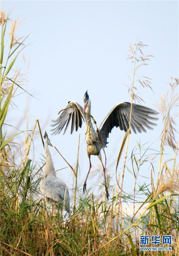 1326150_2048x2048 1326150_2048x2048