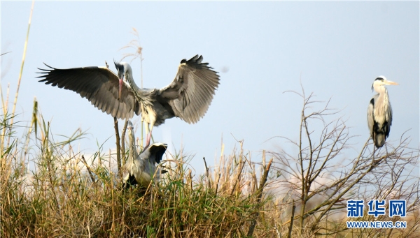 1326151_2048x2048 1326151_2048x2048