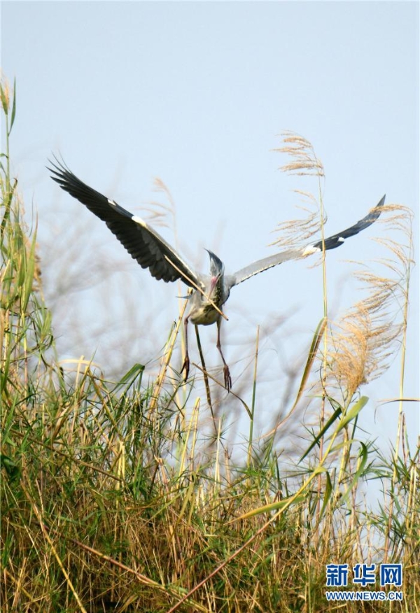 1326154_2048x2048 1326154_2048x2048