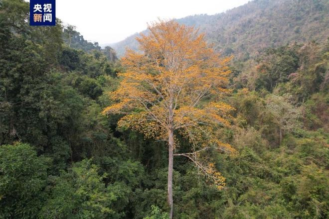 641bb93da31057c4b4b7cace 641bb93da31057c4b4b7cace