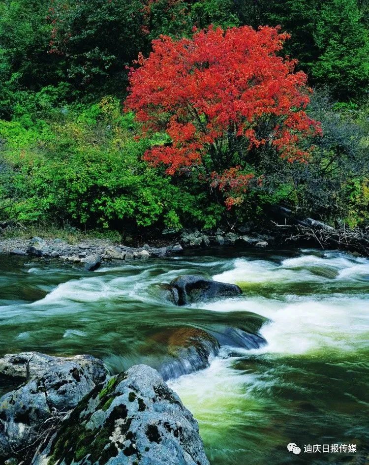 有一种幸福叫生活在香格里拉15 有一种幸福叫生活在香格里拉15