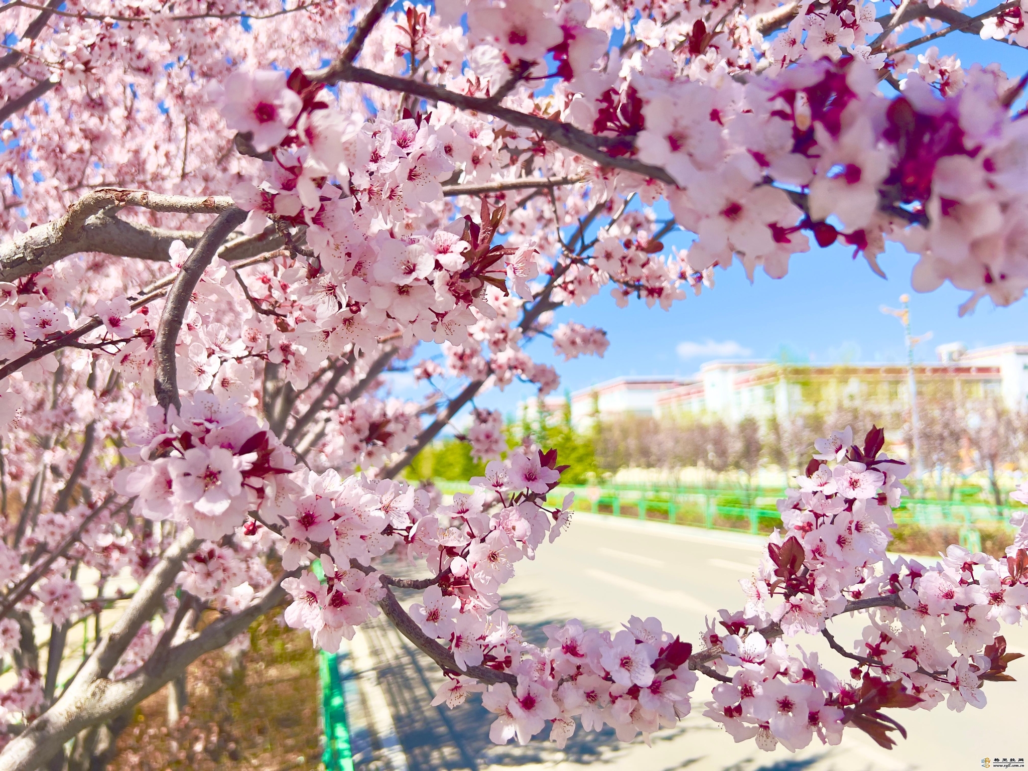 1385149_2048x2048 1385149_2048x2048