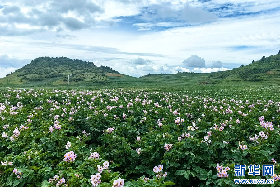 1464101_2048x2048 1464101_2048x2048