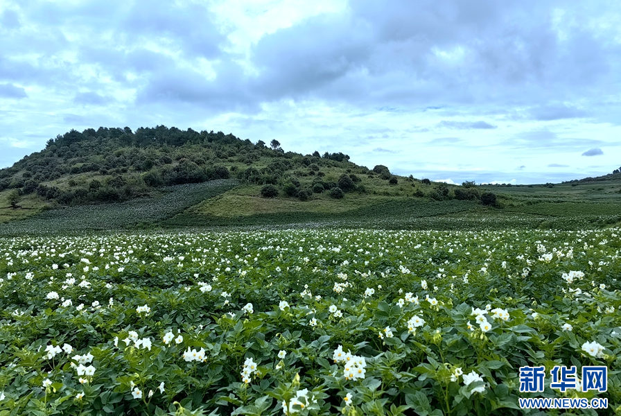 1464103_2048x2048 1464103_2048x2048