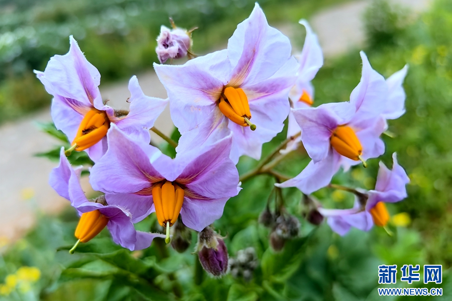 1464104_2048x2048 1464104_2048x2048