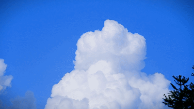 1464142_2048x2048 1464142_2048x2048