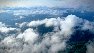 1464143_2048x2048 1464143_2048x2048