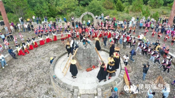 1466058_2048x2048 1466058_2048x2048