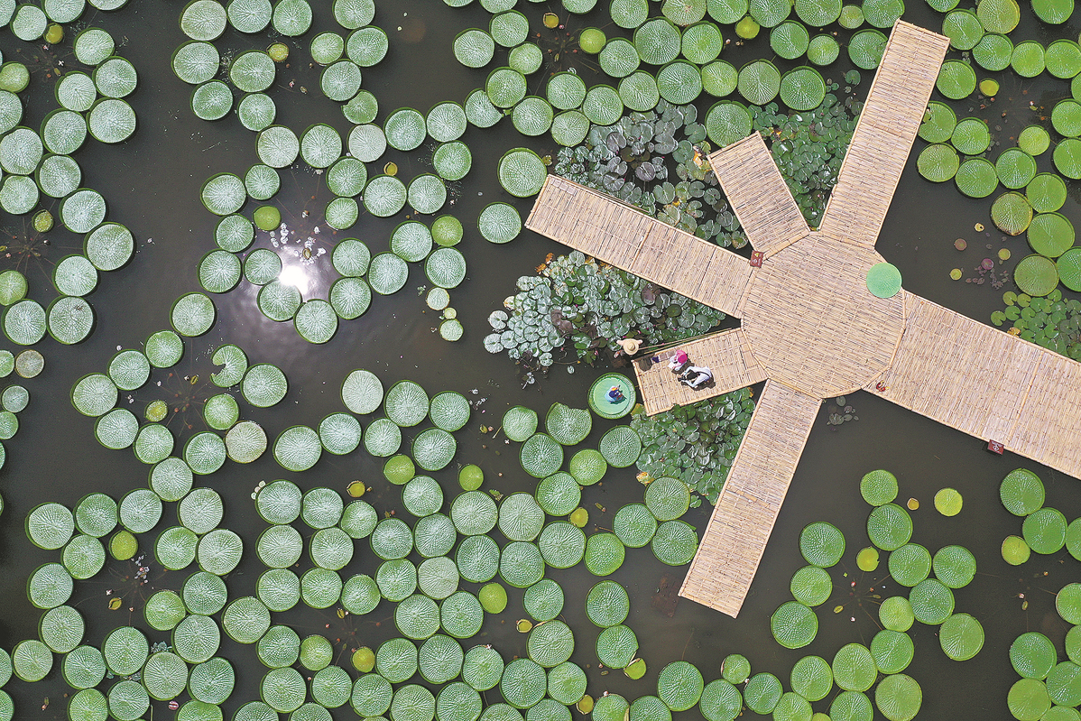 64ed3fa0a310352610bb8731