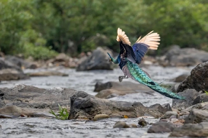 1521834_670x2048 1521834_670x2048