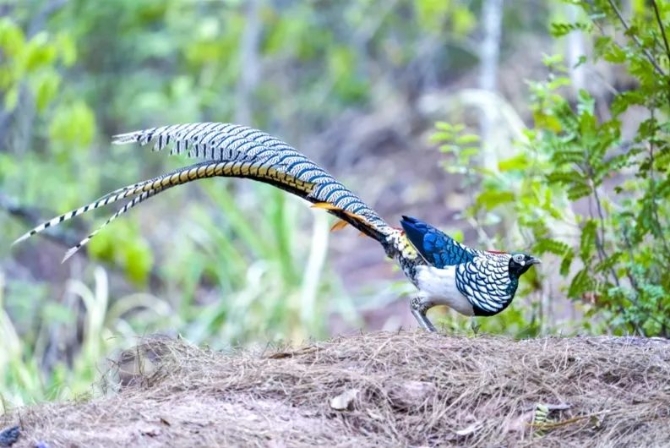 1521836_670x2048 1521836_670x2048