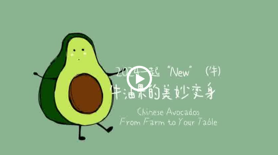 微信图片_20240319100913