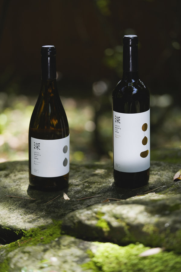 66cd3e35a3106063b594a2b1