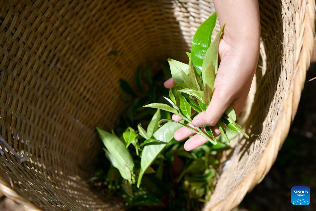 66e8c474a3103711c348673a.jpeg 66e8c474a3103711c348673a.jpeg