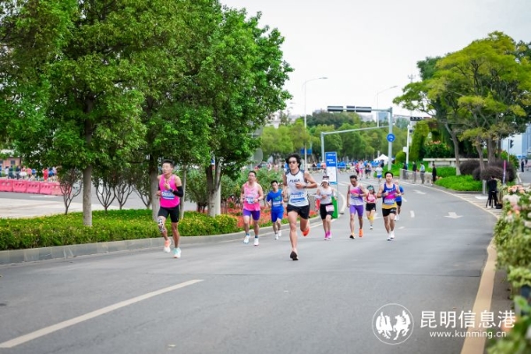 1712940_2048x2048 (1)