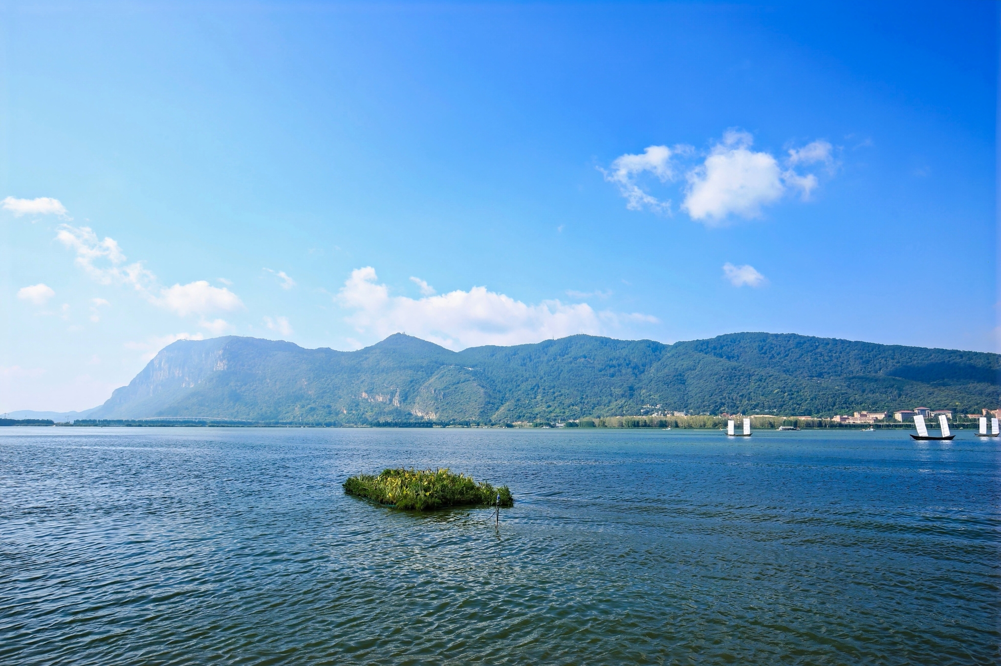 1734283_2048x2048 1734283_2048x2048