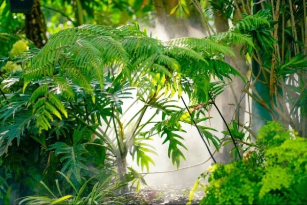 1745649_2048x2048 1745649_2048x2048