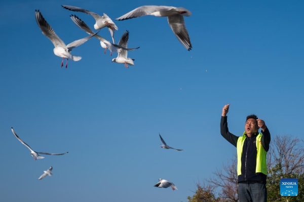 202412124f14a4e40ae740ee8baecd24ae086699_202412125926fea0dc354d1484dd5c3b66d0194a