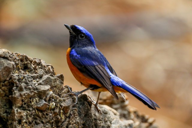 202412251541560JW8GA