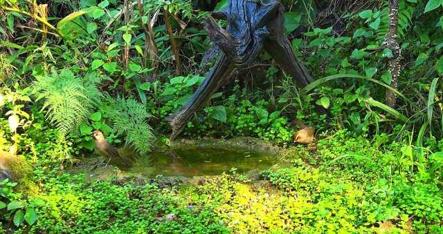 20241225154155L6BR7B