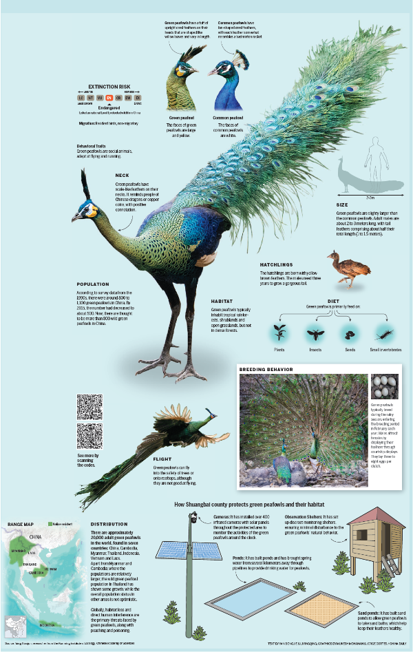 67733f7ba310f1268d87893c