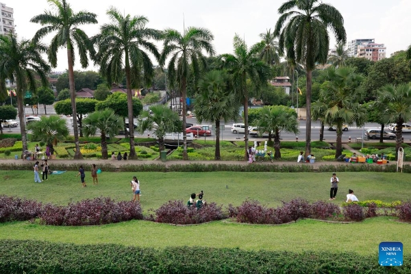 6e3e588c3d6a4a9da6dbf246bdc86249