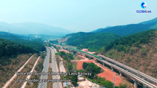 微信图片_20250102155323