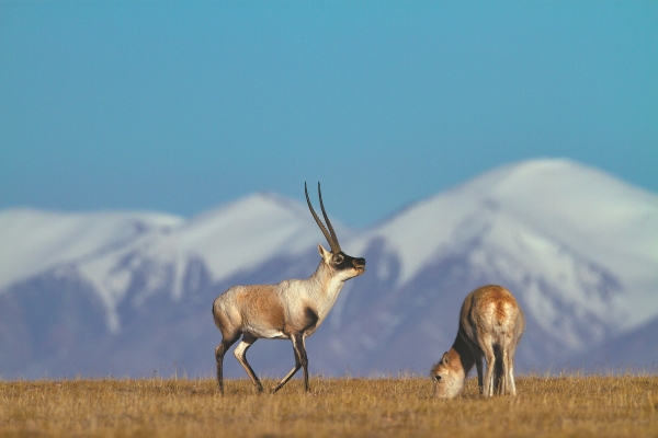 67775b40a310f1268d87c371 67775b40a310f1268d87c371