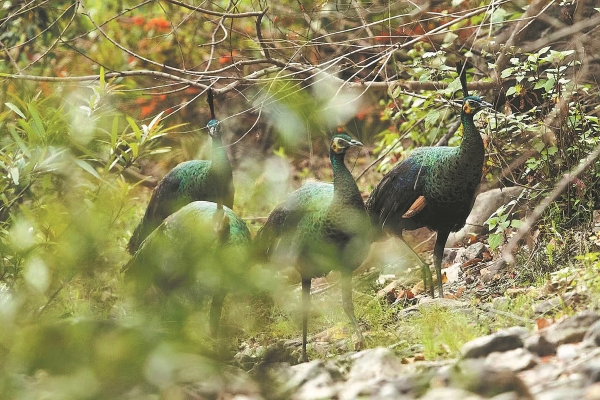 67775b40a310f1268d87c37e 67775b40a310f1268d87c37e