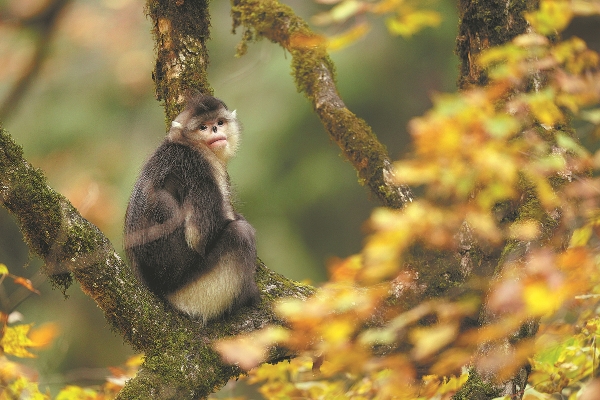 67775b40a310f1268d87c385 67775b40a310f1268d87c385