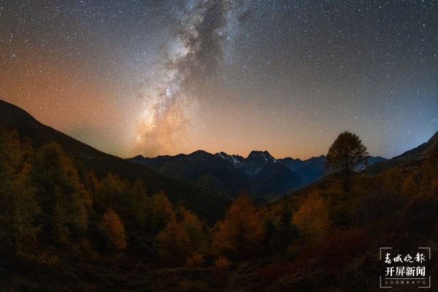 1773327_2048x2048 1773327_2048x2048