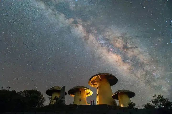 1773330_2048x2048 1773330_2048x2048