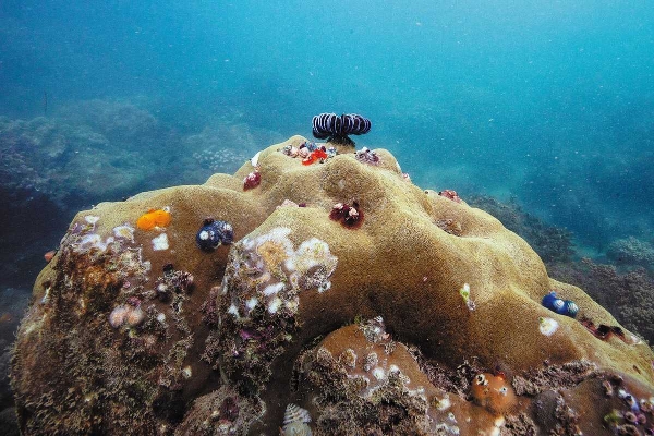 67c8fb57a310c240e241e990