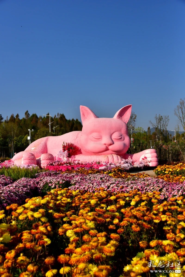 彩龙网友铜钟摄