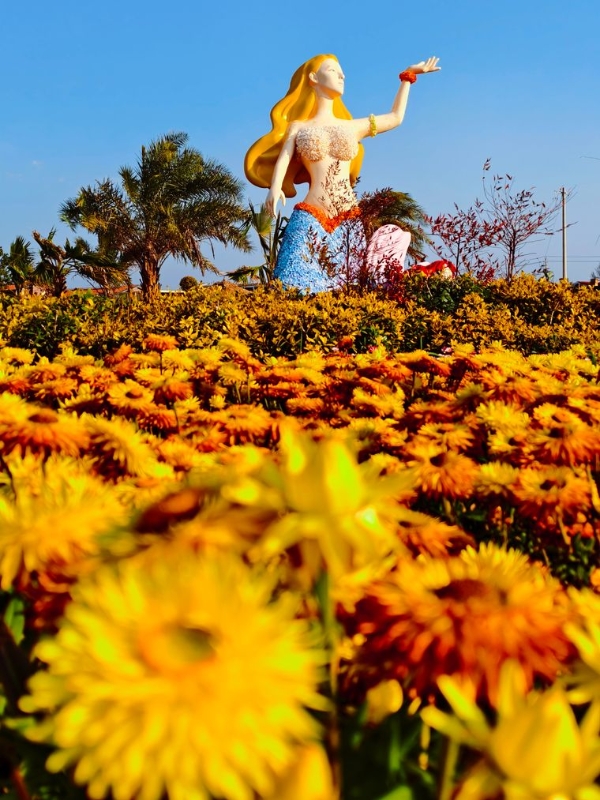 彩龙网友五月红摄