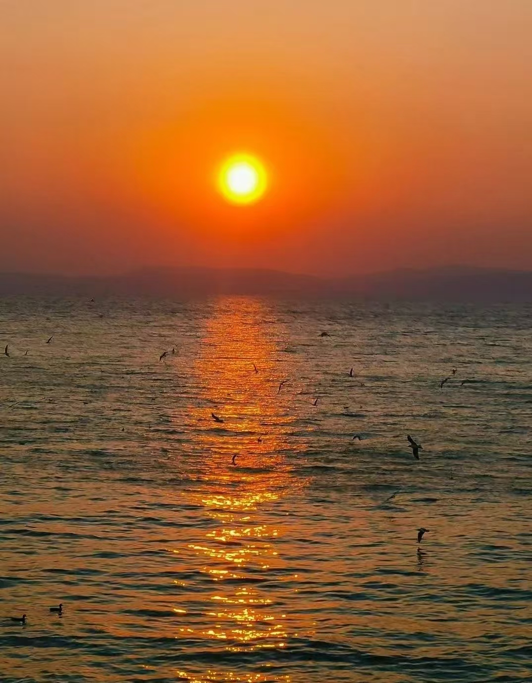 图源：海之晏文旅