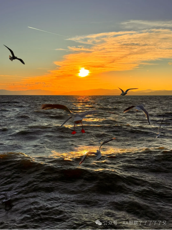 图源：AA默默了了了了了又微公号