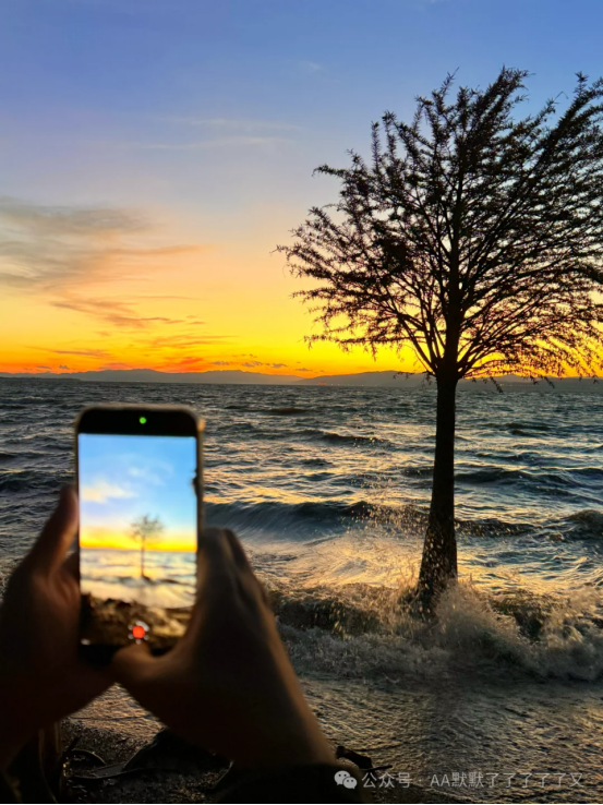 图源：AA默默了了了了了又微公号1